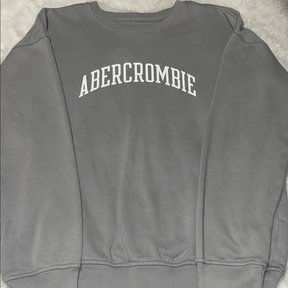 Abercrombie & Fitch Gray Logo Sweatshirt